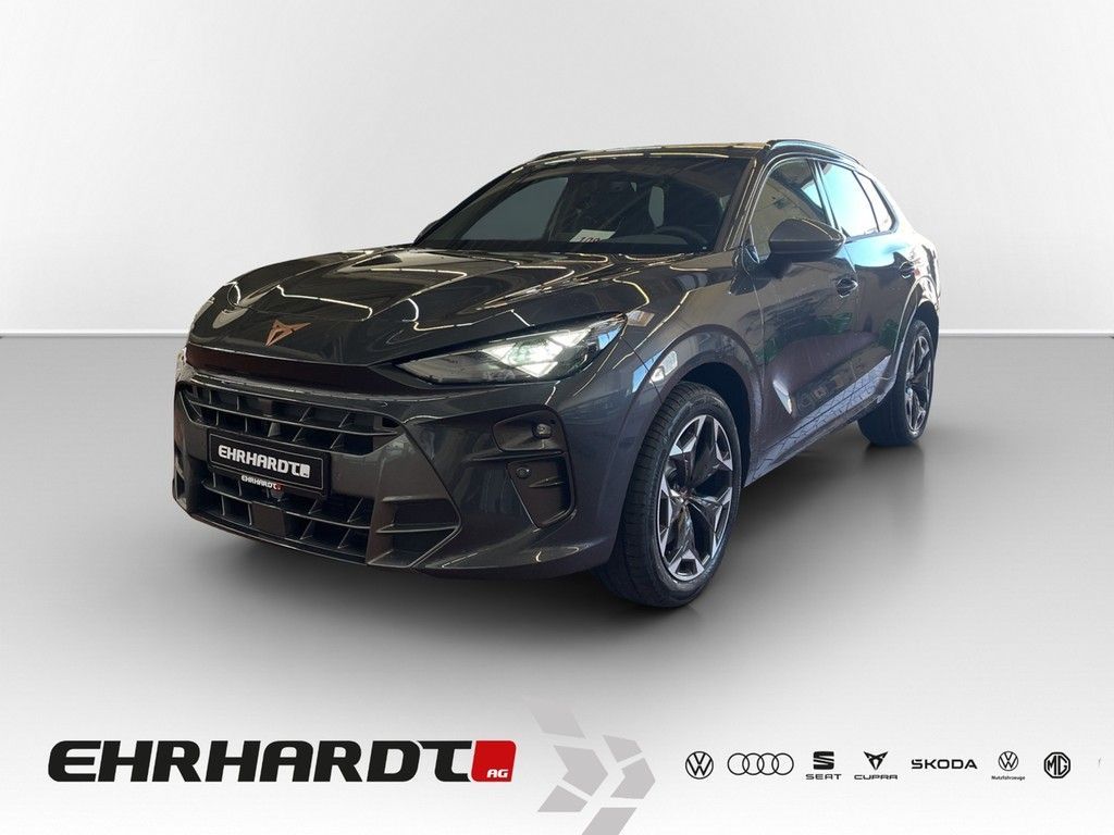 Cupra Terramar 2.0 TSI DSG 4Drive VZ DCC AHK*VIRTUAL*L Leasing