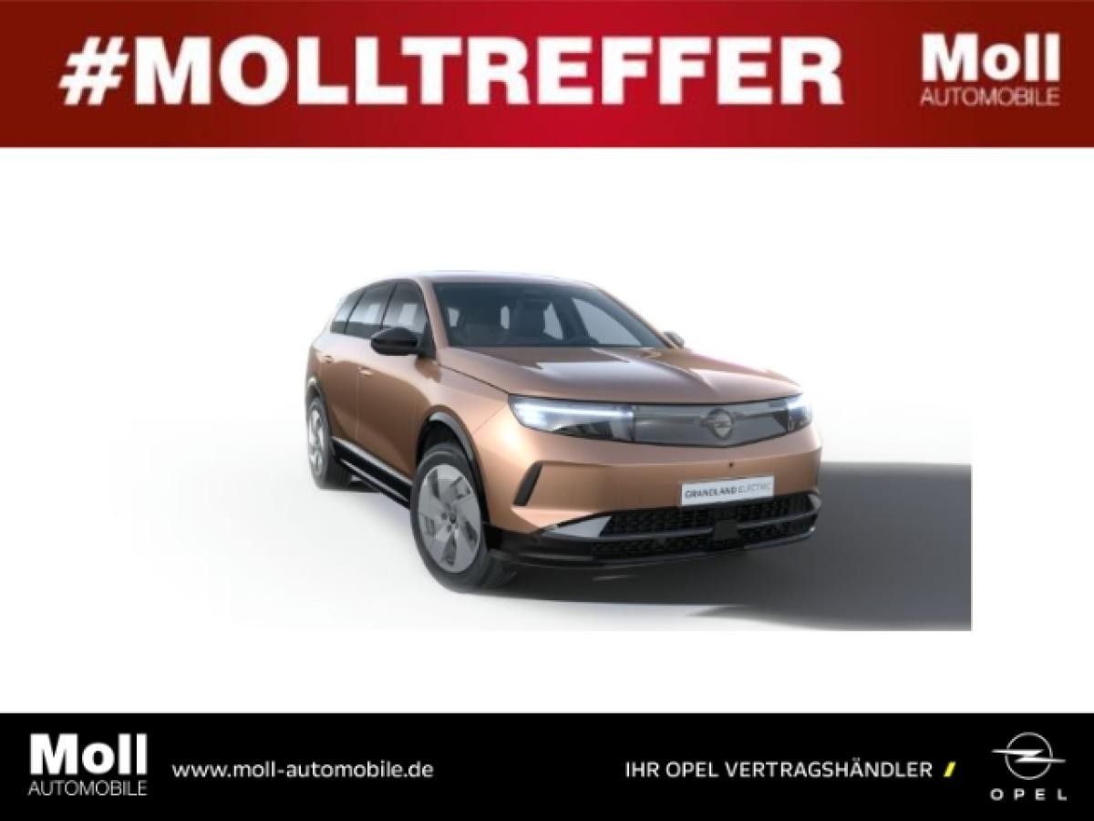 Opel Grandland 73-kWh-Batterie 157 kW Electric Edition⚡ Bestellfahrzeug⚡ Leasing