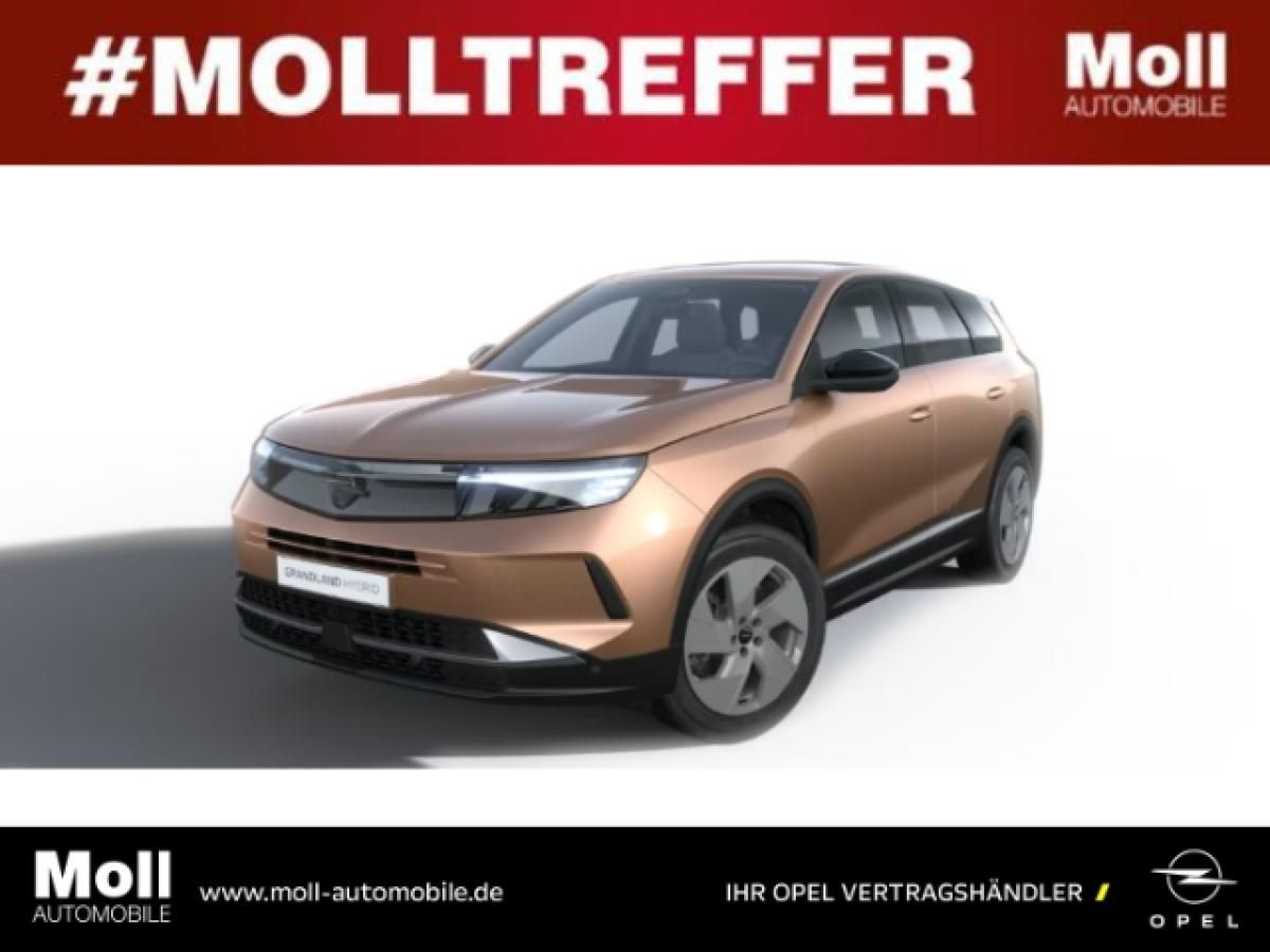 Opel Grandland Hybrid 107 kW Edition eDCT⚡ Bestellfahrzeug⚡Allwetterreifen⚡ Leasing