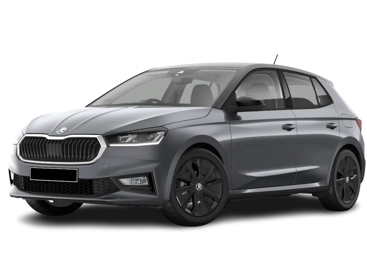 Skoda Fabia Monte Carlo 1.0 TSI Auto-Abo
