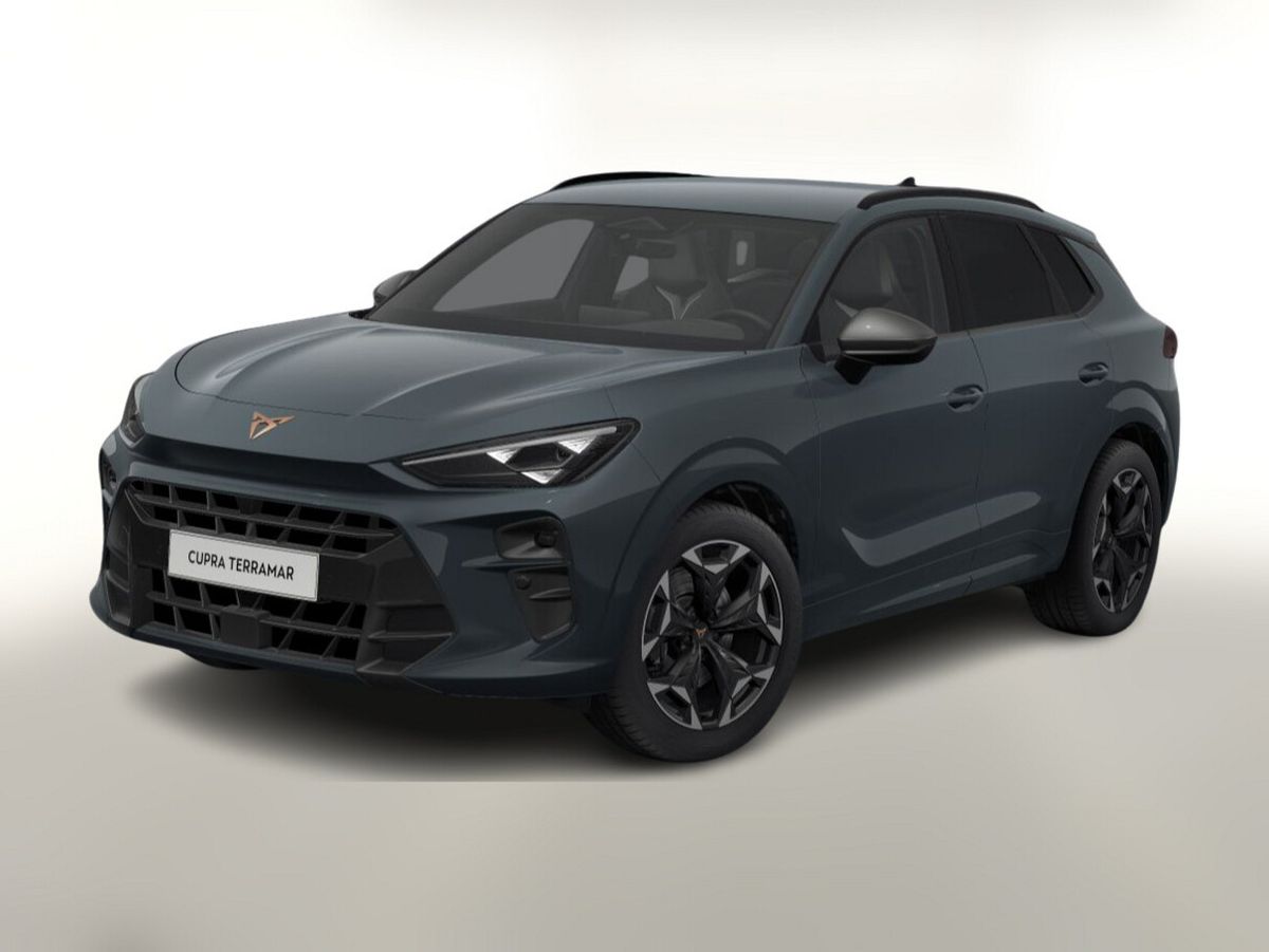 Cupra Terramar TSI 265 DSG 4D VZ Matrix Kam360 eHK ACC Auto-Abo privat Auto-Abo