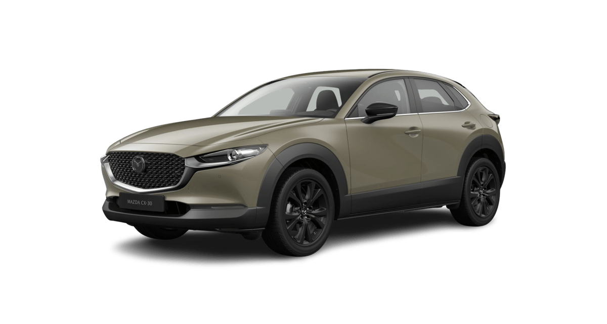 Mazda CX-30 2.5L e-SKYACTIV G 140 PS 6AT FWD HOMURA Auto-Abo