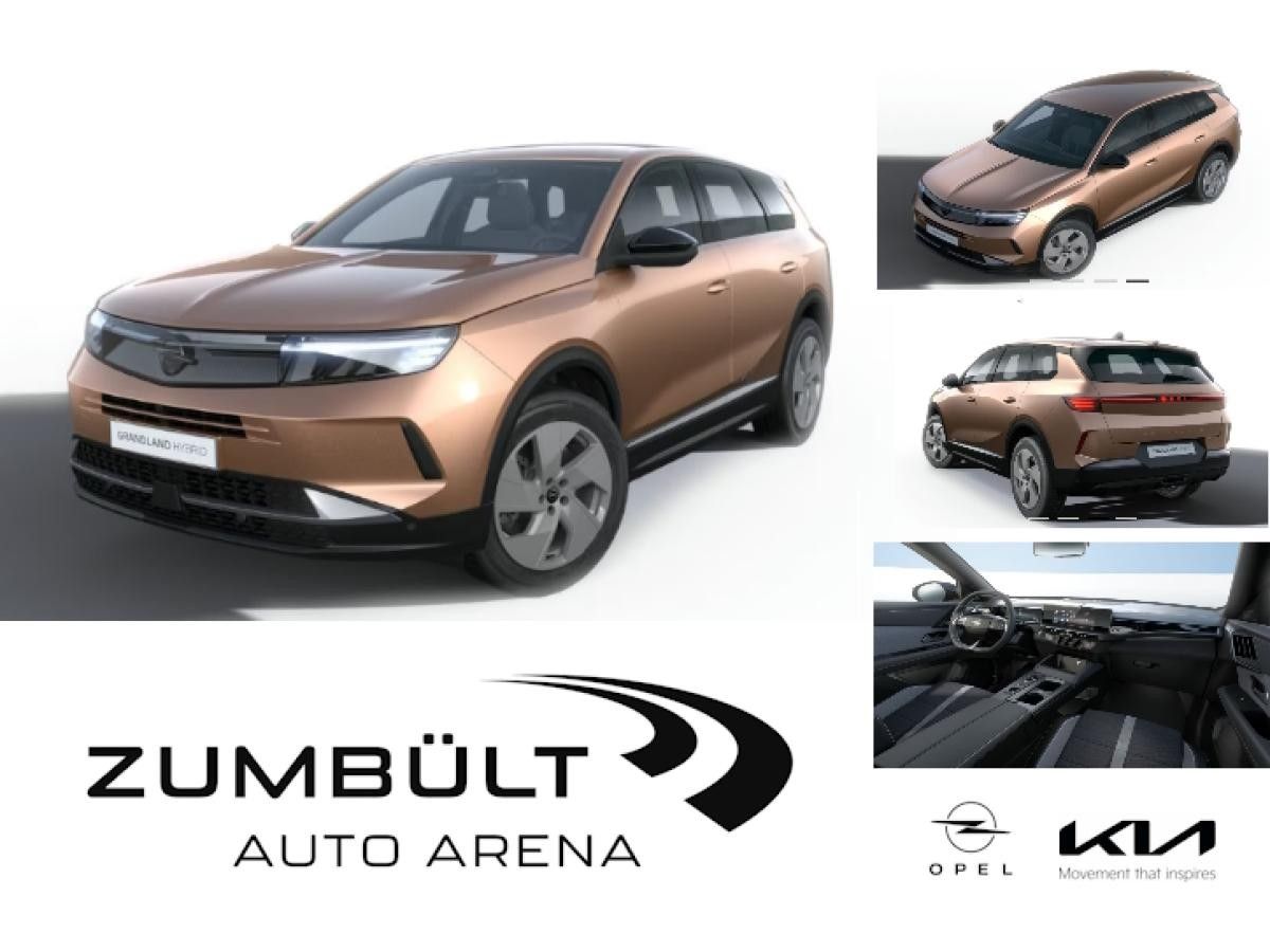 Opel Grandland ELECTRIC EDITION 157 KW (213 PS) 🚀 Winteraktion 🚀 Leasing