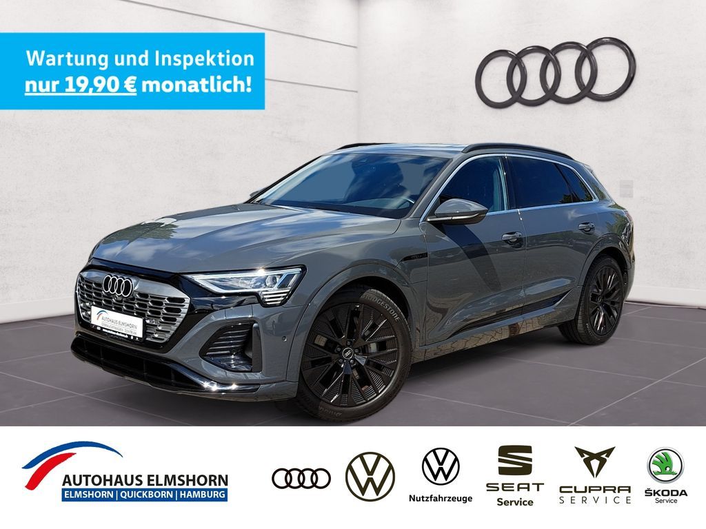 Audi Q8 e-tron 50 quattro S line PANO MATRIX 21