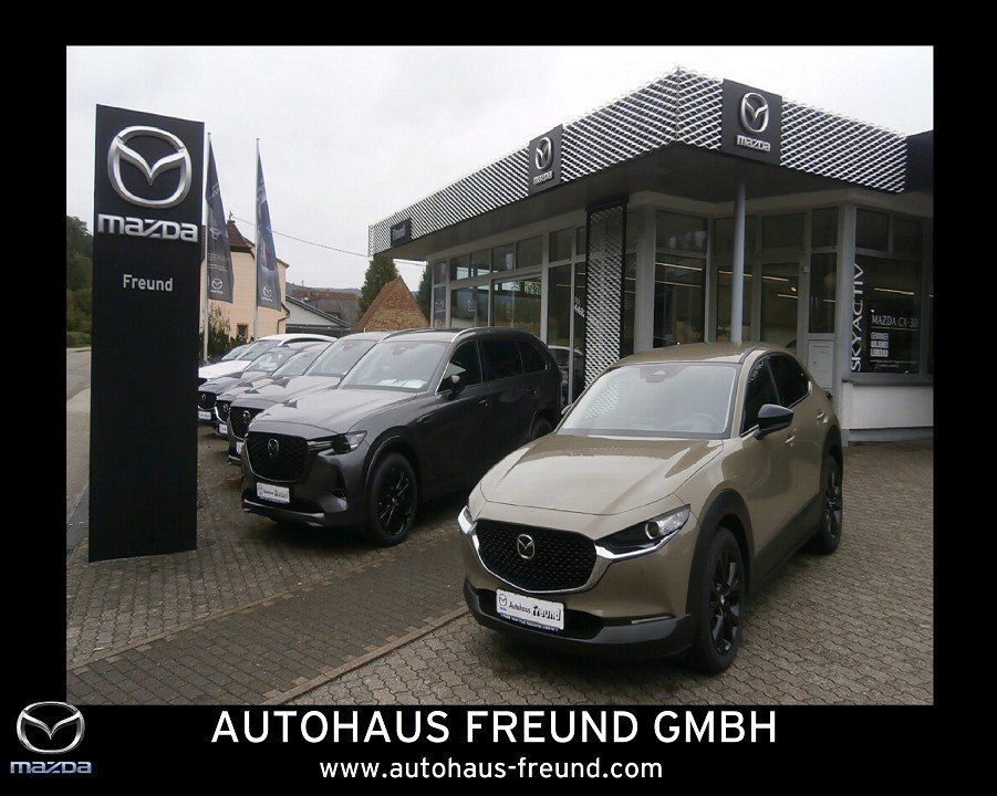 Mazda CX-30 2.5L e-SKYACTIV G 140 PS 6AT FWD HOMURA Auto-Abo