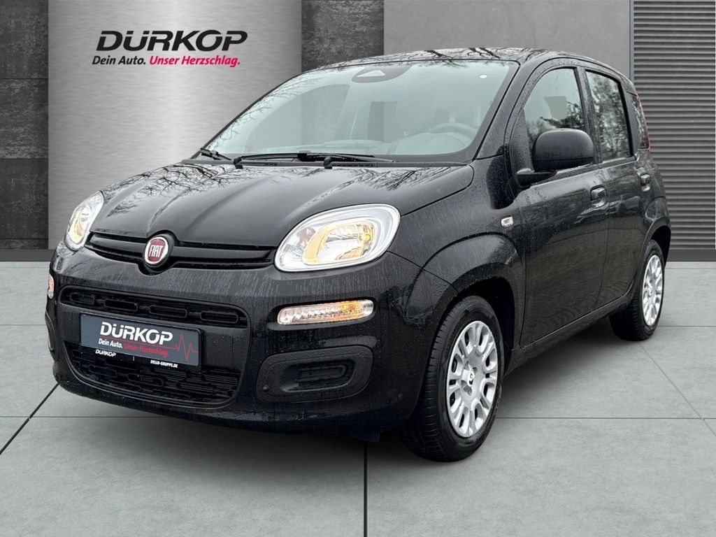 Fiat Panda (Pandina) Icon Hybrid Klimaanlage Parkpilo Leasing