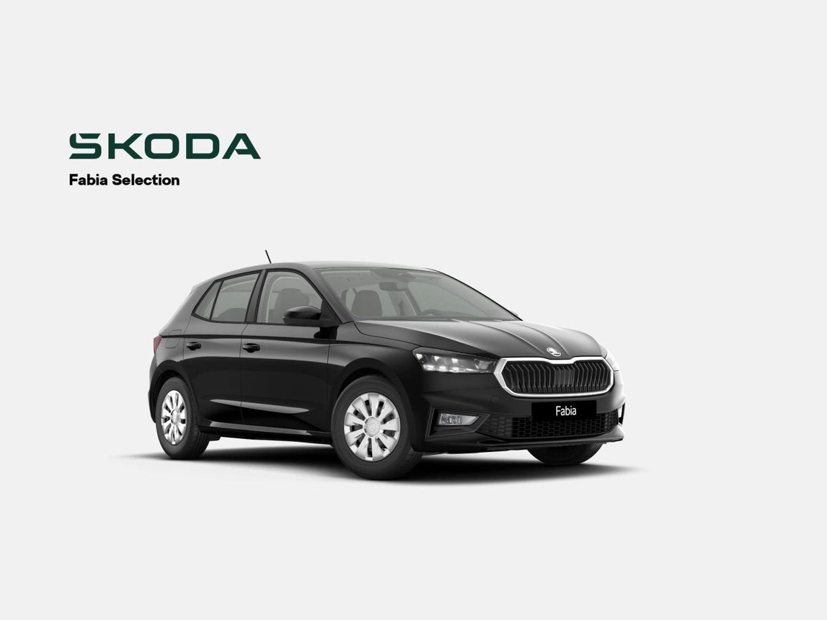 Skoda Fabia Selection 1.0 MPI (Dormagen) Leasing