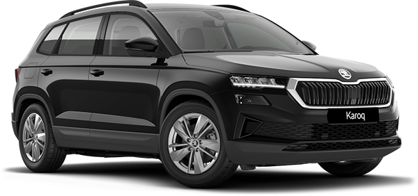 Skoda Karoq Vehicle Model