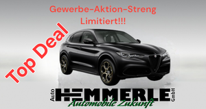 Alfa Romeo Stelvio STELVIO INTENSA 2.0 Turbo 16V 206kW -Glasdach Leasing