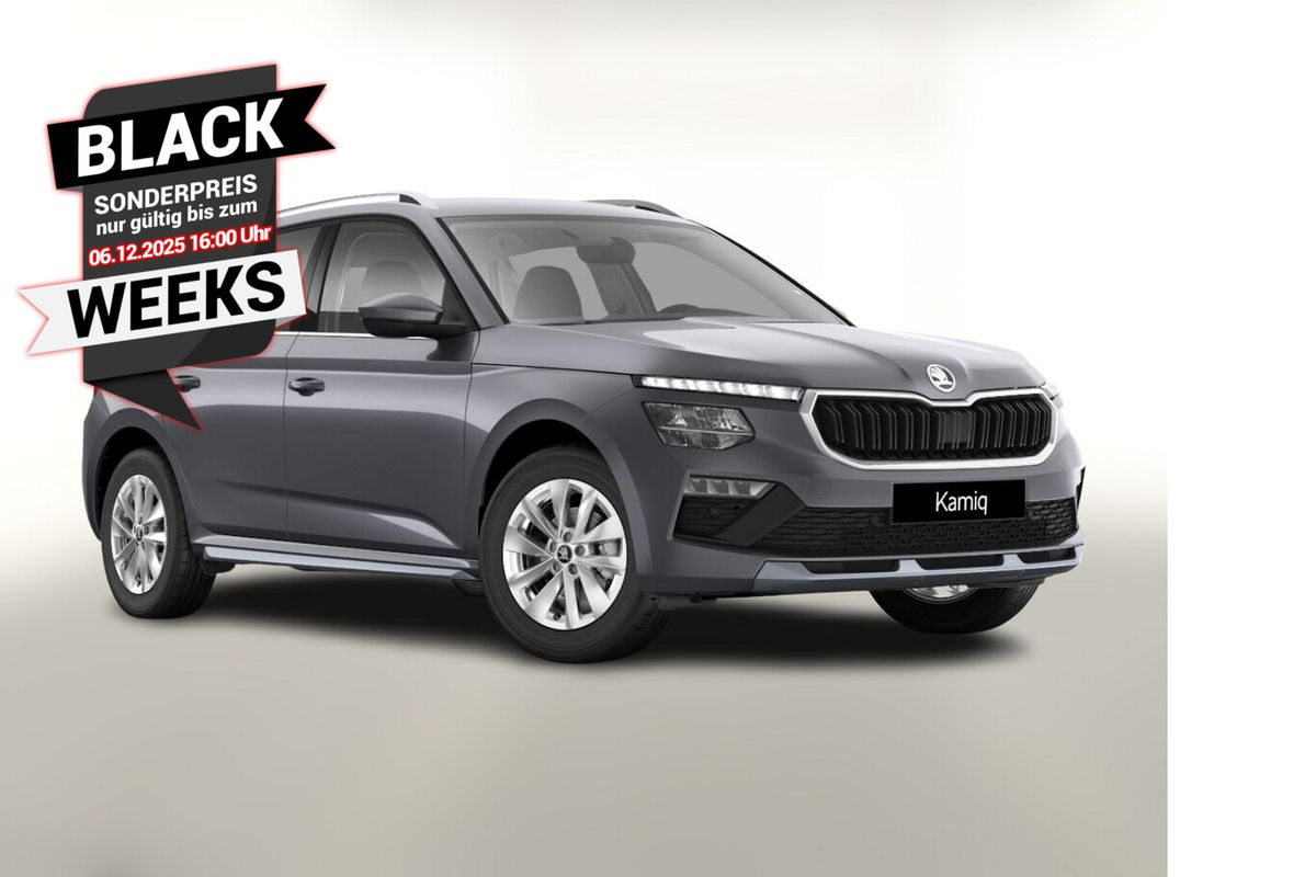 Skoda Kamiq TSI 116 DSG Selec Lodge Nav Kam Kessy SHZ Auto-Abo privat Auto-Abo