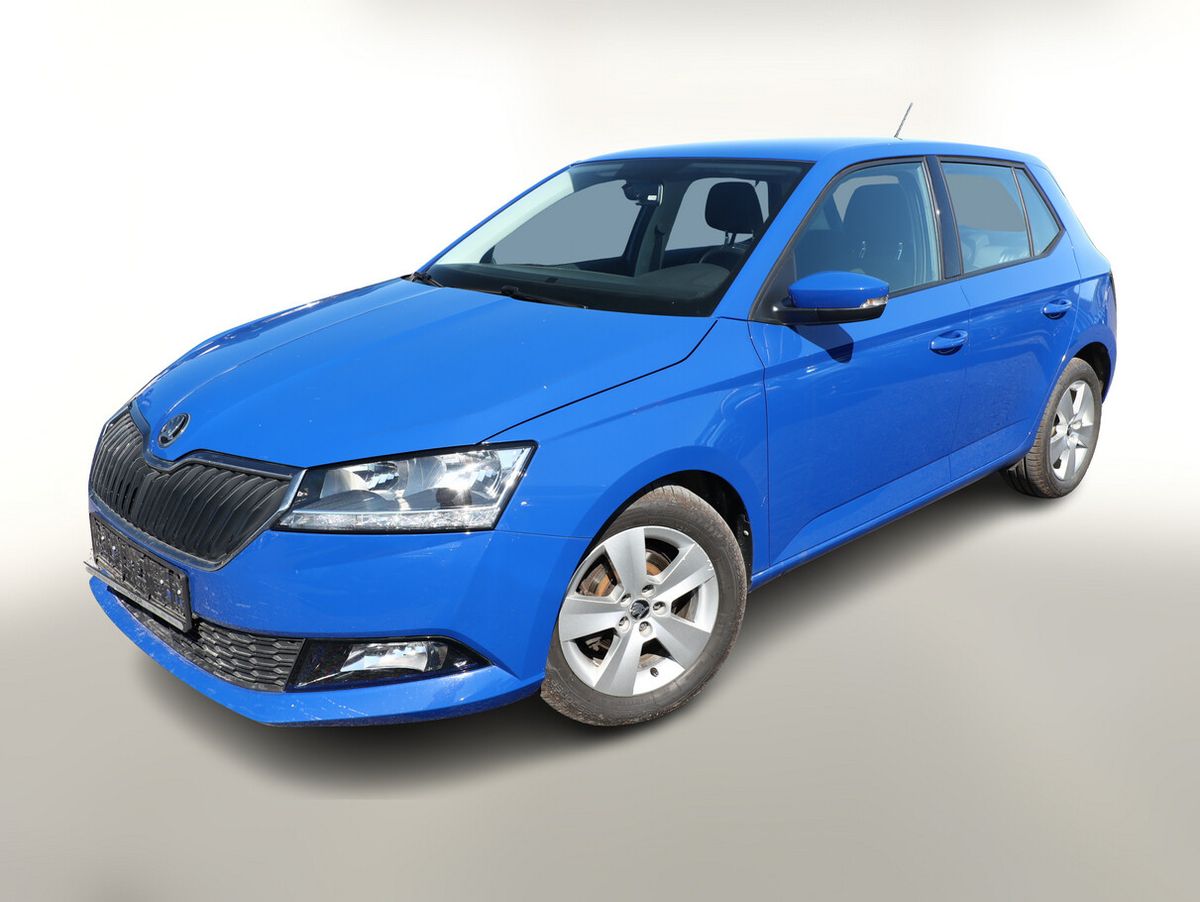 Skoda Fabia 1.0 TSI 95 Amb Swing BT FrontA 15Z NSW DAB Auto-Abo privat Auto-Abo