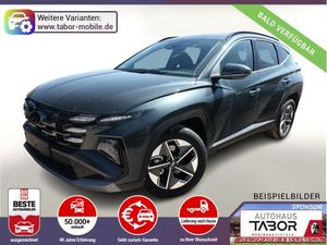 Hyundai TUCSON Tucson Select DCT Nav LED SHZ Privacy 18Z TotW