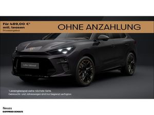 Cupra Terramar VZ 2.0 TSI 265 PS DSG 4Drive AHK PANO N