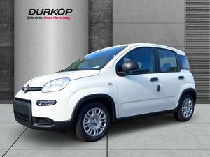 Fiat Panda Pandina Mild Hybrid 1.0 GSE City Paket DAB Leasing