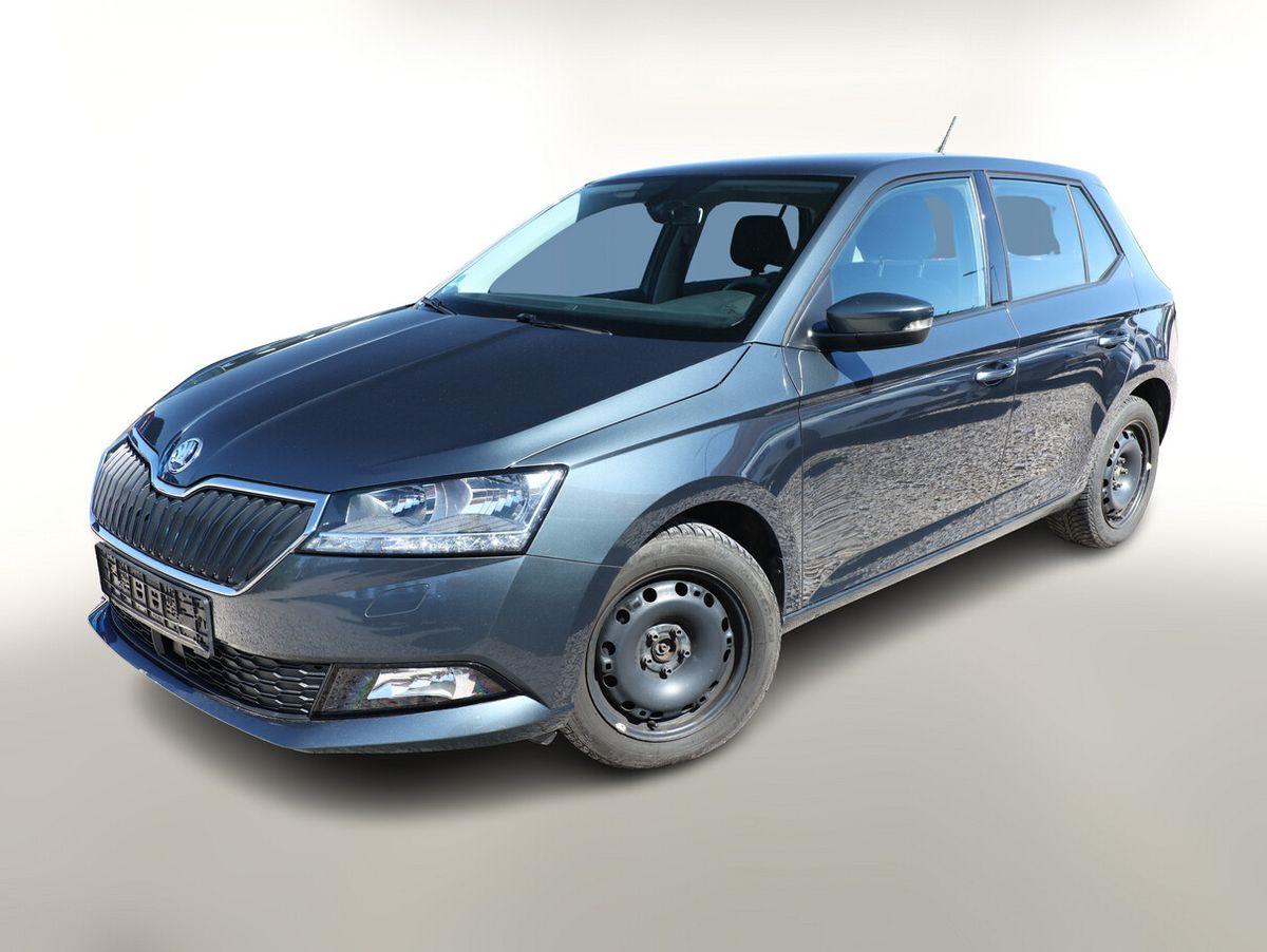 Skoda Fabia 1.0 TSI 110 DSG Ambition Nav PDC SHZ Finanzierung privat Auto kaufen