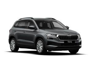 Skoda Karoq Selection 1,5 TSI DSG*AHK*Winter Plus*Navi*