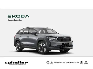 Skoda Kodiaq Selection 2,0 TDI 110 kW 7-Gang-DSG