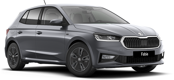 Skoda Fabia Vehicle Model