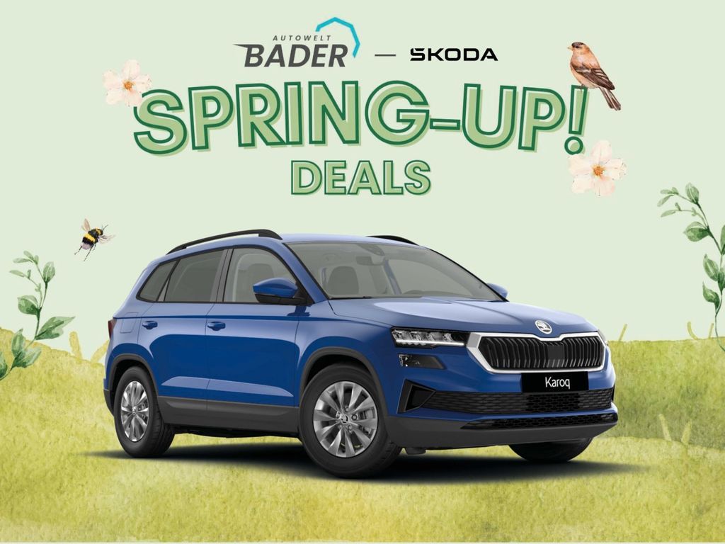 Skoda Karoq Selection 