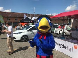 Wave Sitzerland 2018. Bildquelle: www.wavetrophy.com