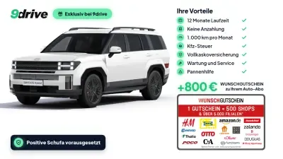 Hyundai Santa Fe Blackline Auto-Abo