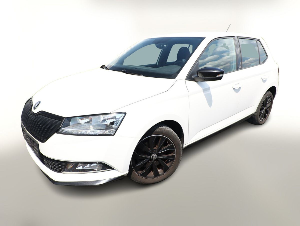 Skoda Fabia 1.0 TSI 110 Monte Carlo SHZ PDC Kam SmartL Finanzierung privat Auto kaufen