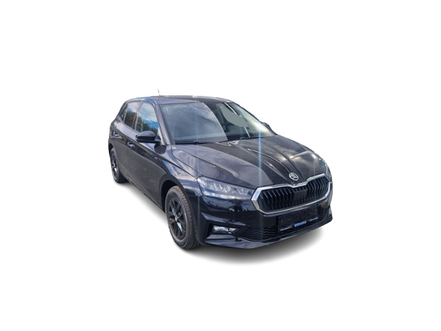 Skoda Fabia 1,0 130Jahre LED Sitzhzg Kamera Alu Klima Auto-Abo
