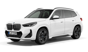 BMW X1 sDrive20i Steptronic sDrive20i Steptronic Auto-Abo