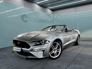 Ford Mustang GT V8 Cabrio 6gang + FGS 7J /100TKM Auto kaufen