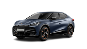 Cupra Tavascan Endurance 210 kW (286 PS) 77 kWh, *Winter-Paket* Auto-Abo