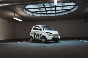 elaris dyo kurz test 1