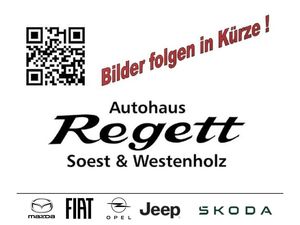 Fiat 600 Hybrid Business Edition *Allwetterreifen*Nav