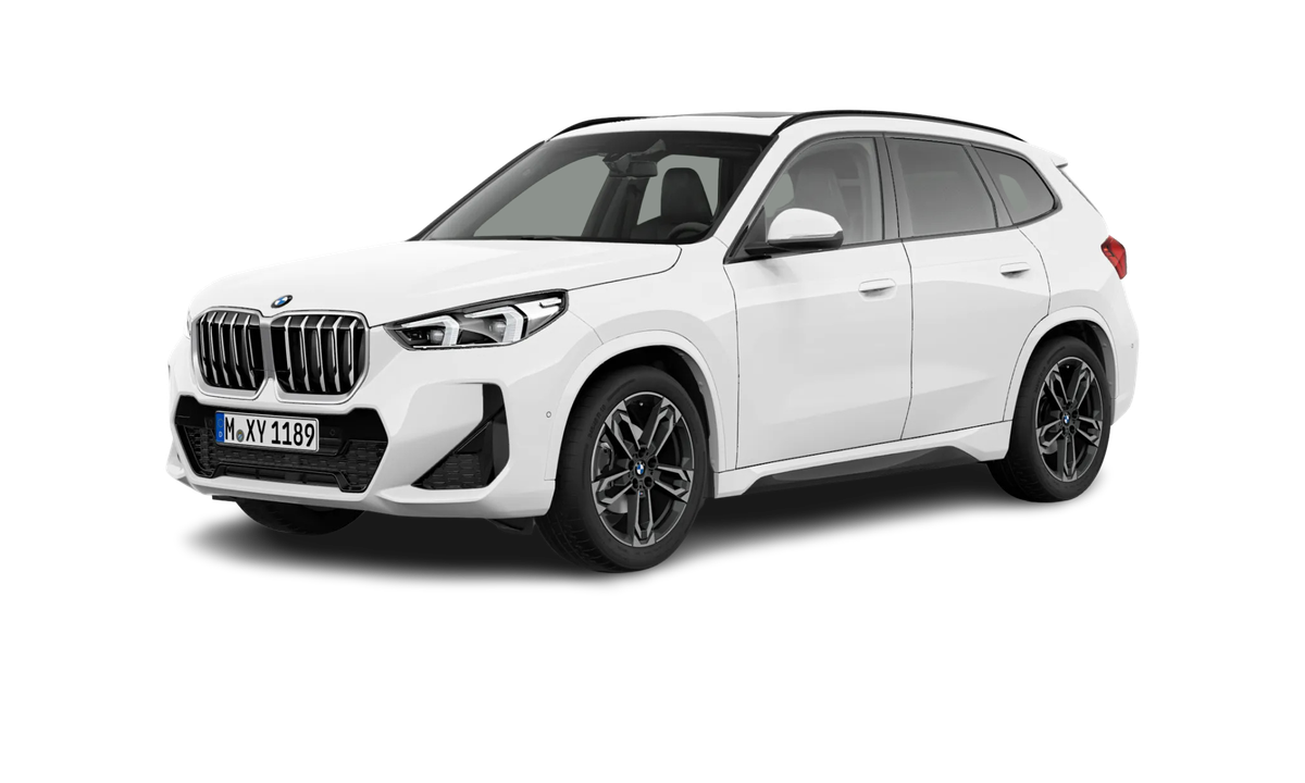 BMW X1 sDrive20d Steptronic sDrive20d Steptronic Auto-Abo