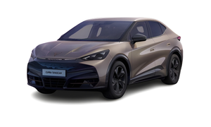 Cupra Tavascan 210 kW / (286 PS) / 77 kWh Endurance 210 kW / (286 PS) / 77 kWh Auto-Abo