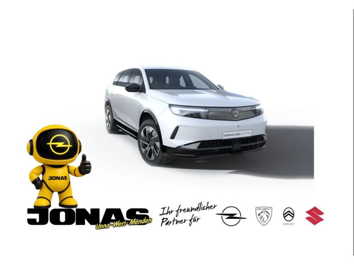 Opel Grandland Electric Edition -Juliaktion-  Allwetter CARPLAY RKamera Leasing