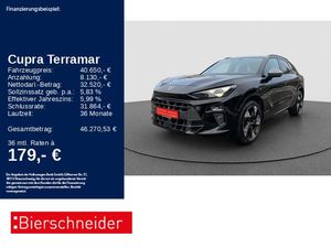 Cupra Terramar 2.0 TSI 4Drive VZ AHK PANO SENNH 360