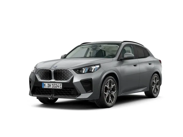 BMW iX2 30 xDrive M Sport Park-Assistent ACC HUD SHZ