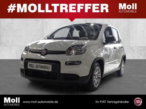 Fiat Panda Mild Hybrid City Paket  Gelato Weiß Leasing