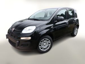 Fiat Panda ICON 5S PDC 5"-DAB DigC Temp LaneA S&S BT Leasing privat