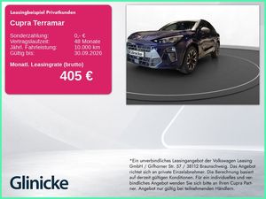 Cupra Terramar 2.0 TSI DSG 4Drive Business Paket