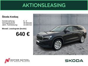 Skoda Kodiaq Selection 2,0 TDI 142 kW 4x4 Standhzg AHK