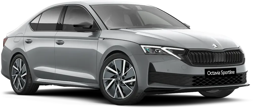 Skoda Octavia Limousine Vehicle Model