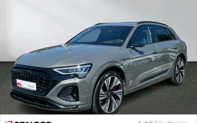 Audi Q8-e-tron 55 E-tron Quattro S Line 5dr