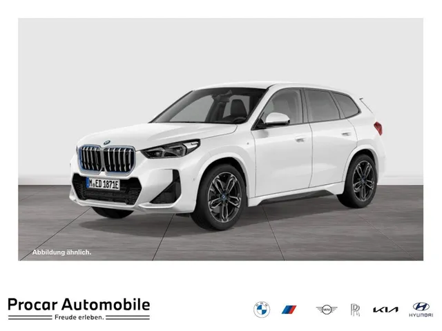 BMW iX1 xDrive30 M Sport HUD ACC RFK NAVI Standh.