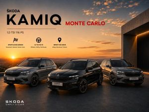 Skoda Kamiq Monte Carlo 1,0 TSI DSG AHK Infotainment❗❗❗Aktion bis 31.08.2026❗❗❗