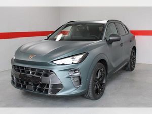 Cupra Terramar America Cup | SONDERFINANZIERUNG -13998
